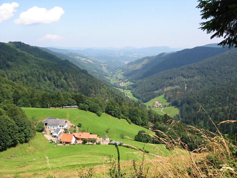 Sainte-Marie-aux-Mines