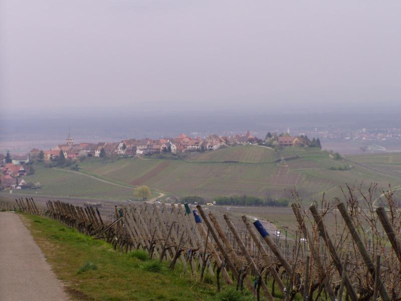 Zellenberg