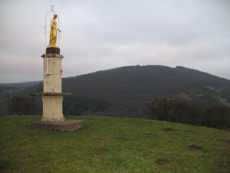 Cenves