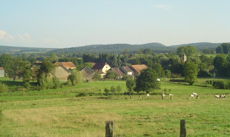 Beveuge