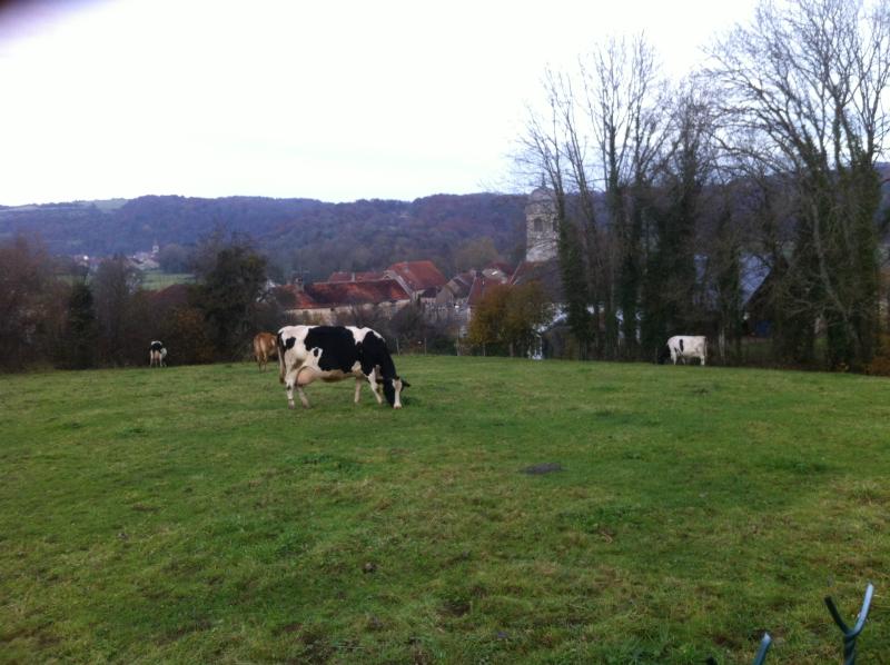 Fouvent-Saint-Andoche