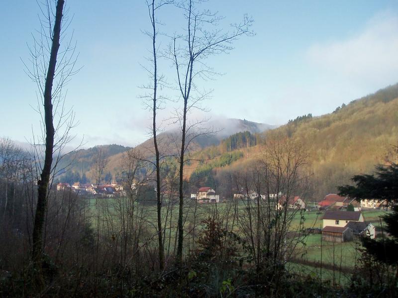 La Longine
