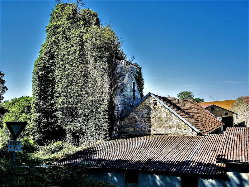 Pierrecourt