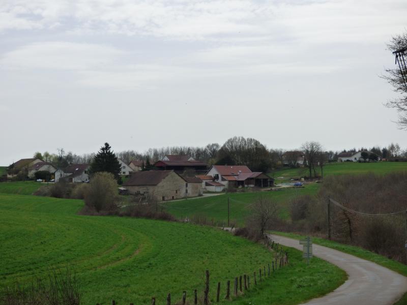 Ruhans