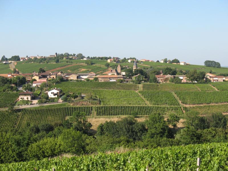 Chânes