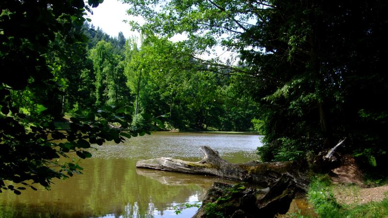 Dompierre-les-Ormes