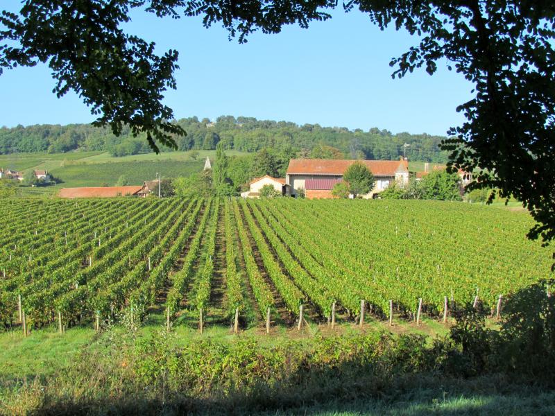 Saint-Vallerin