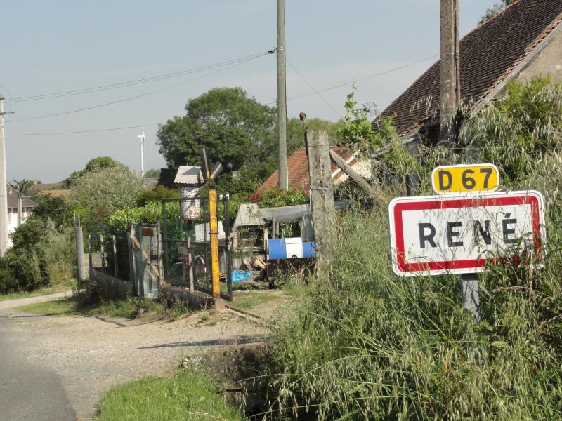 René