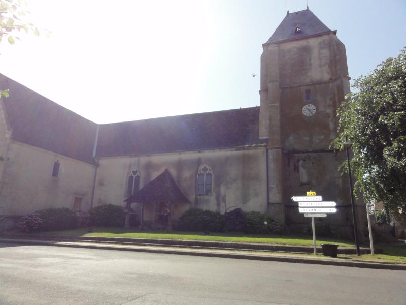 René