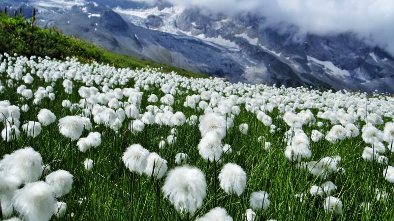 Champagny-en-Vanoise