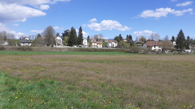 Domessin