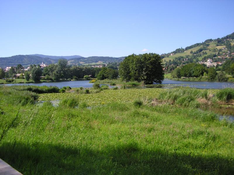 Viuz-en-Sallaz