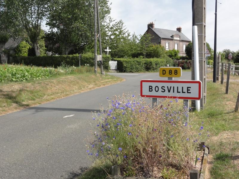Bosville