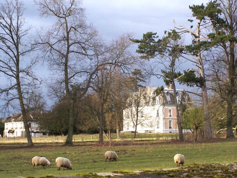 Herbeville