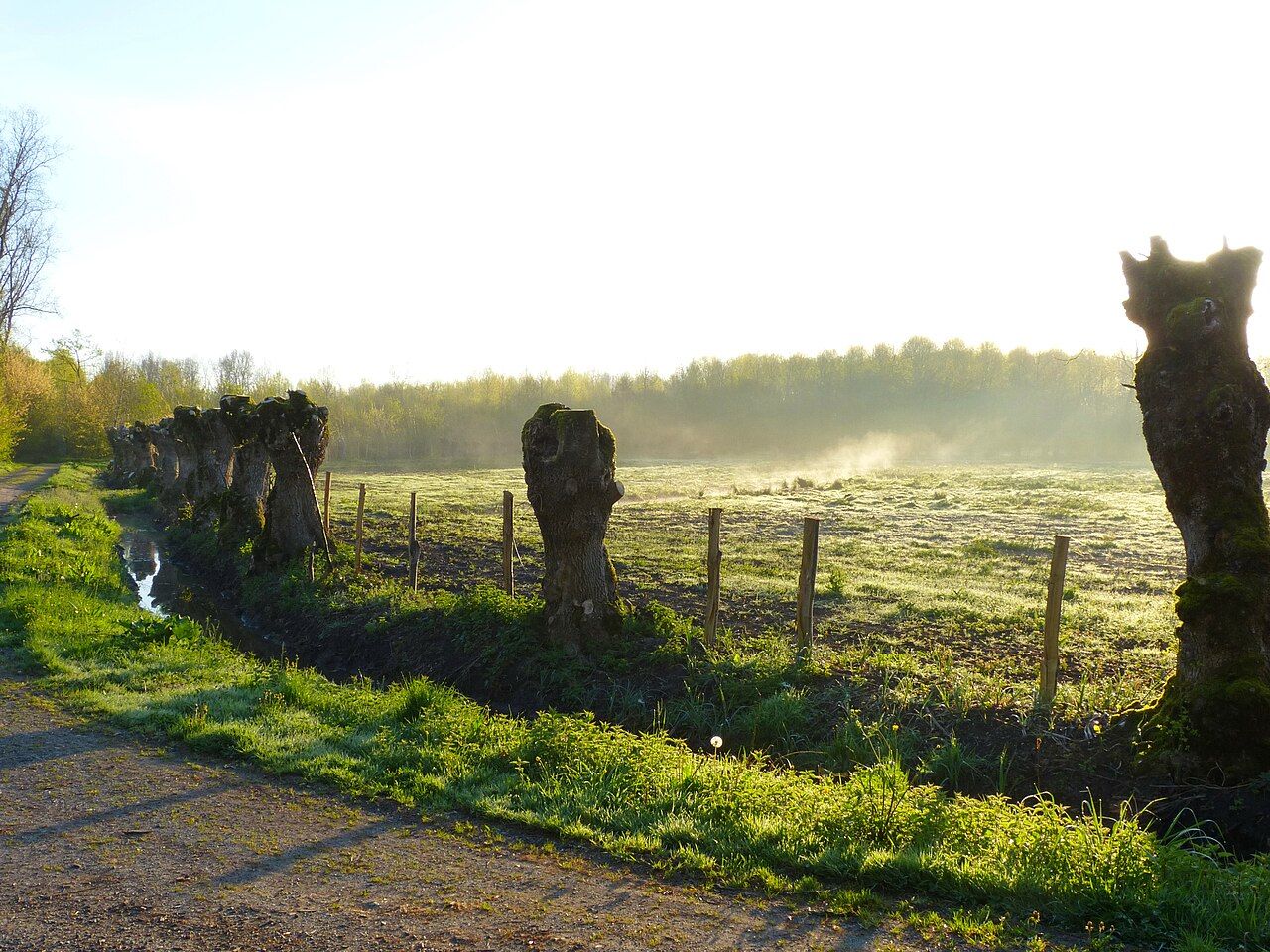 Photo 6 — Arçais, Deux-Sèvres (79210)