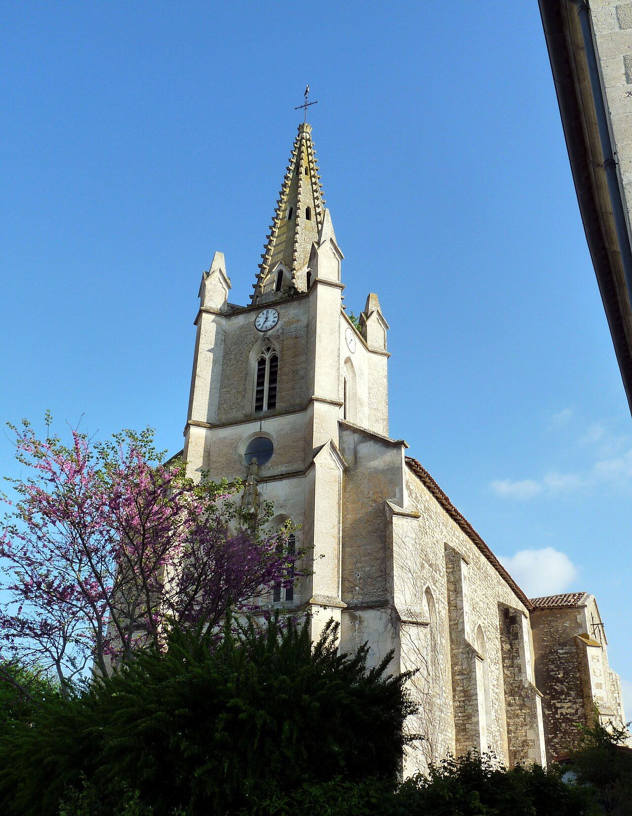 Photo 9 — Arçais, Deux-Sèvres (79210)