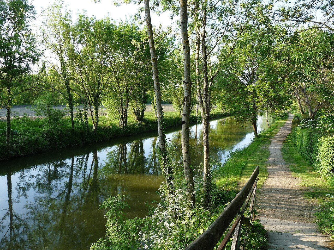Photo 10 — Arçais, Deux-Sèvres (79210)