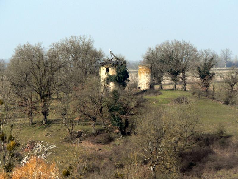 Glénay