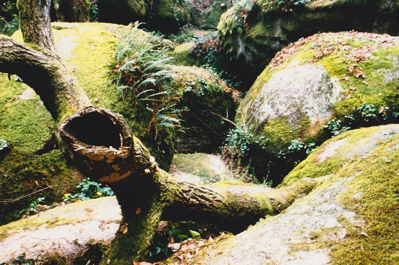 Neuvy-Bouin