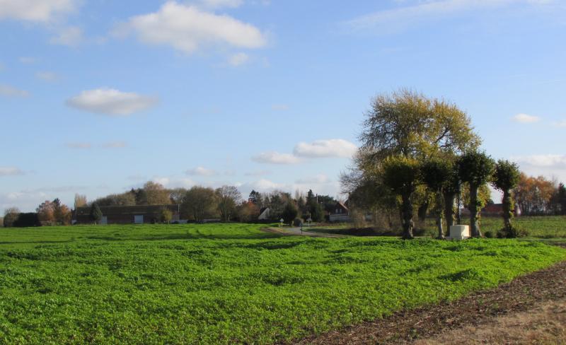 Bernes