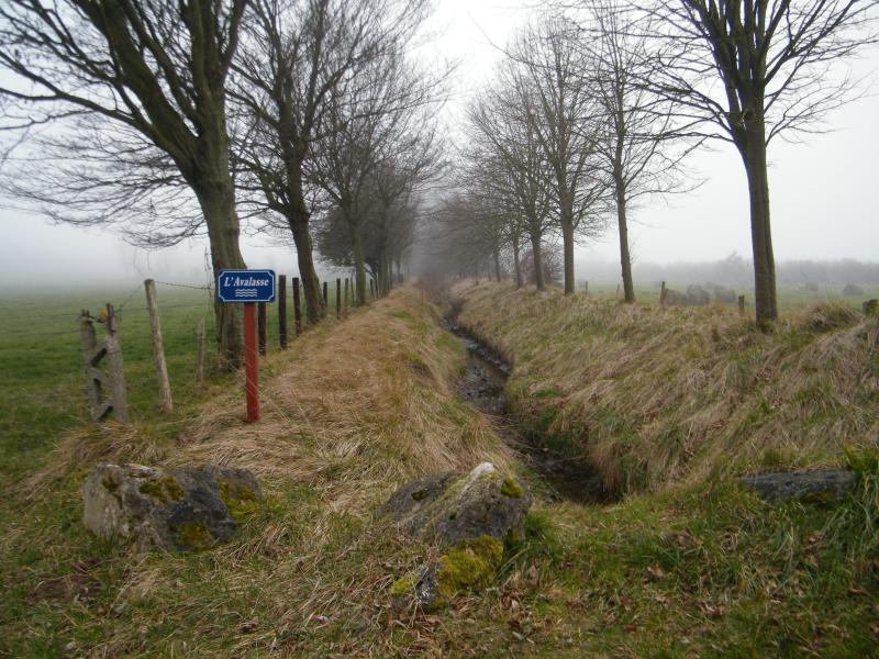 Estrébœuf
