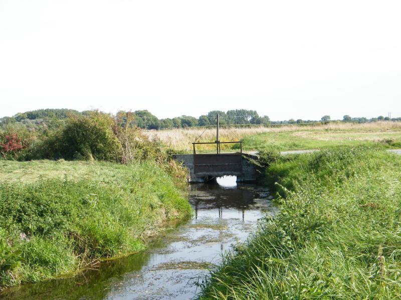 Favières