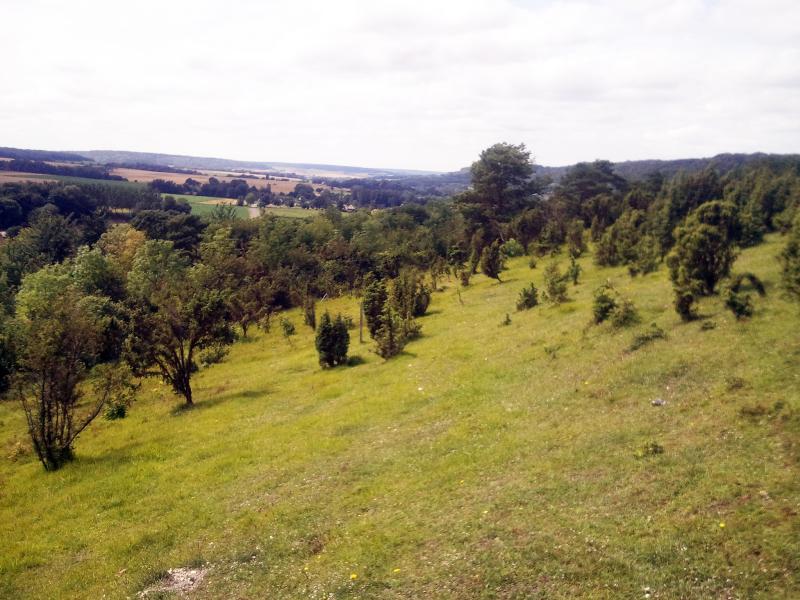 Saint-Aubin-Rivière