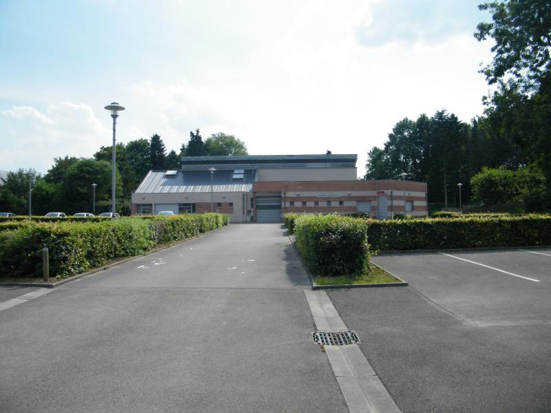 Talmas