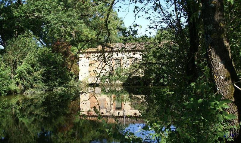 Fénols