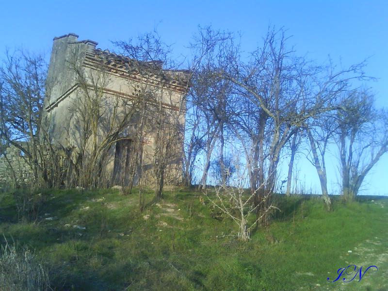 Fénols