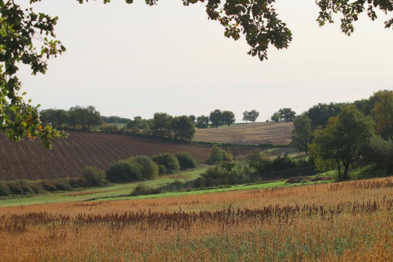 Peyrole