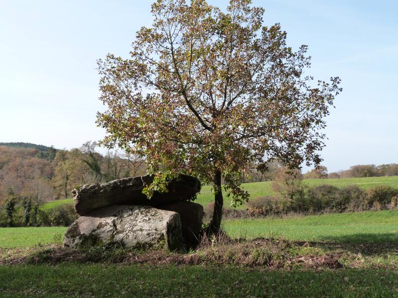 Trévien
