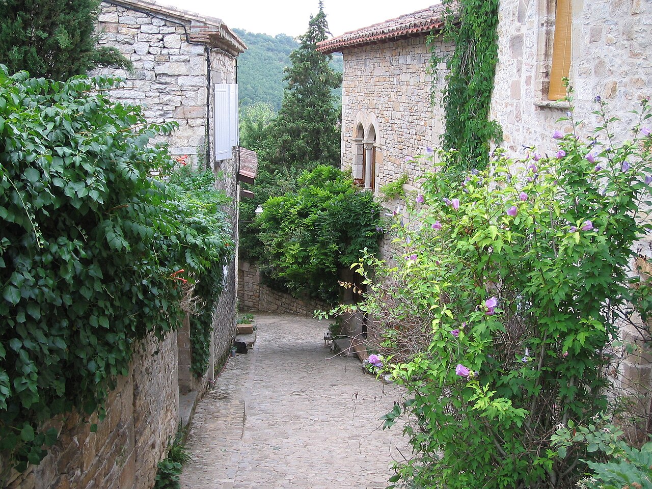 Photo 7 — Bruniquel, Tarn-et-Garonne (82800)