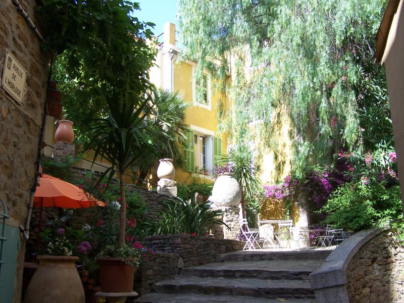Bormes-les-Mimosas