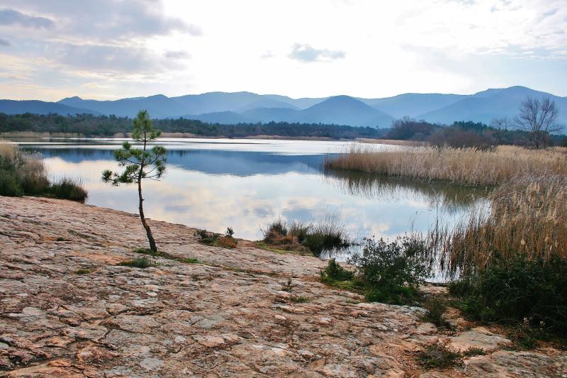 Le Cannet-des-Maures