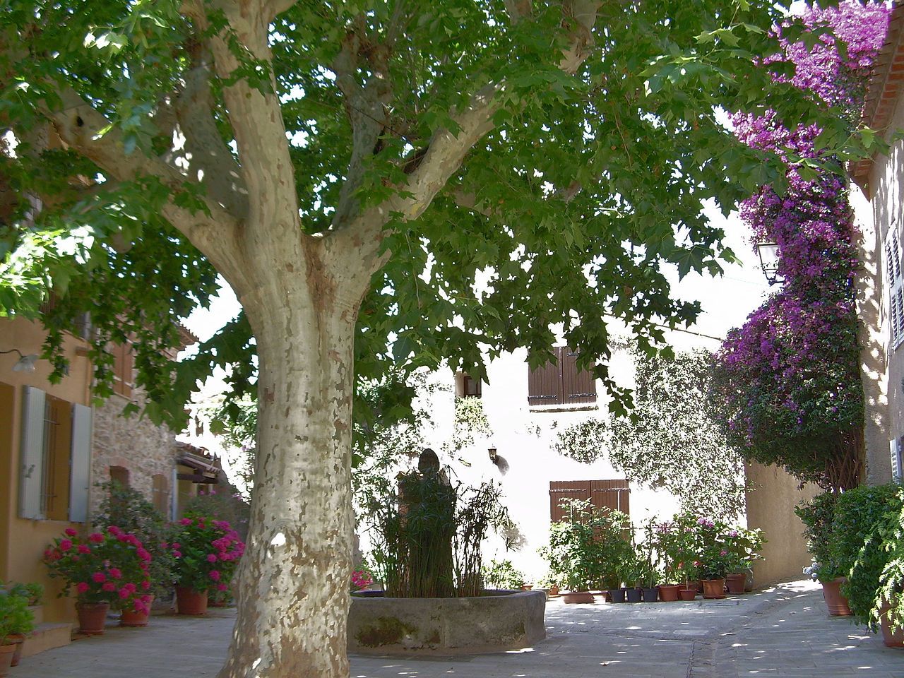 Photo 5 — Grimaud, Var (83310)