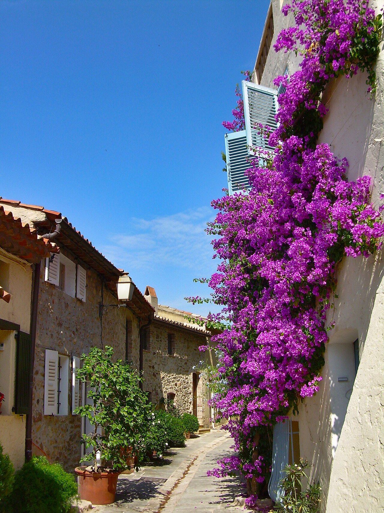 Photo 9 — Grimaud, Var (83310)