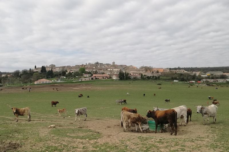 Montmeyan