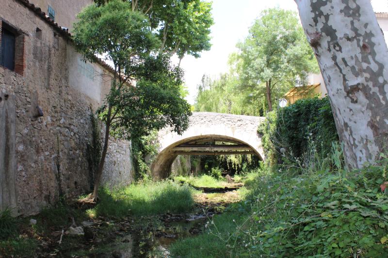 La Roquebrussanne