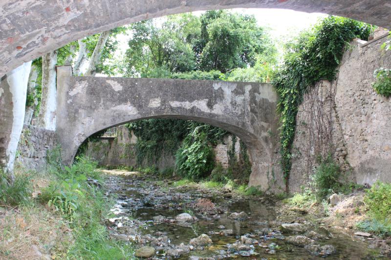 La Roquebrussanne