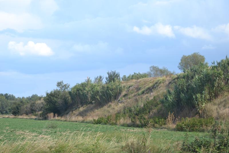 Bédarrides