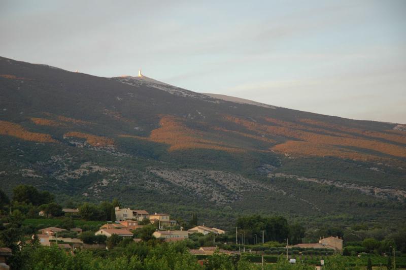 Bédoin