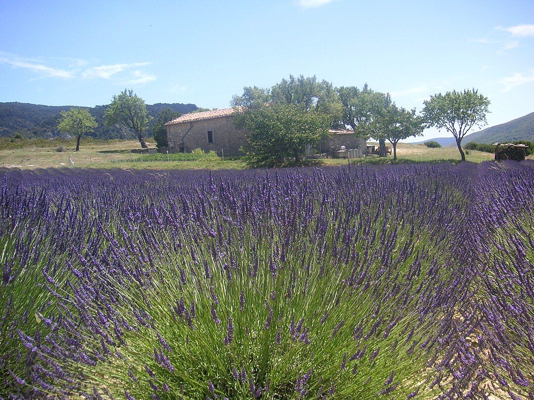 Photo 5 — Lagarde-d'Apt, Vaucluse (84400)