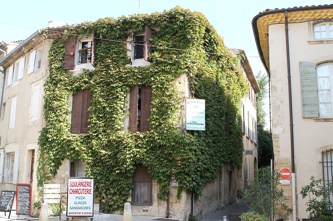 Photo 8 — Lourmarin, Vaucluse (84160)