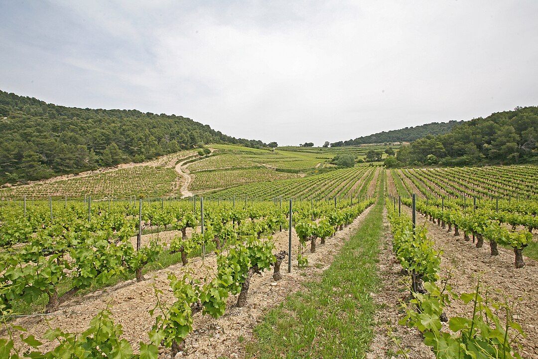 Photo 4 — La Roque-Alric, Vaucluse (84190)