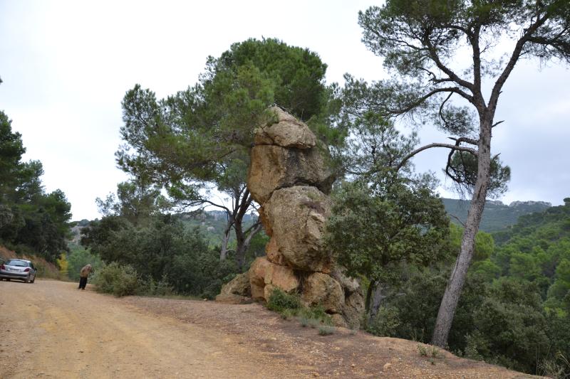 Vacqueyras