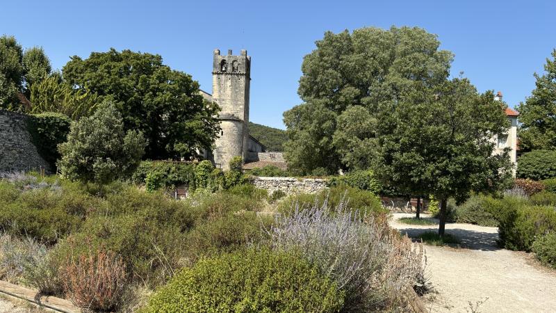 Vaison-la-Romaine