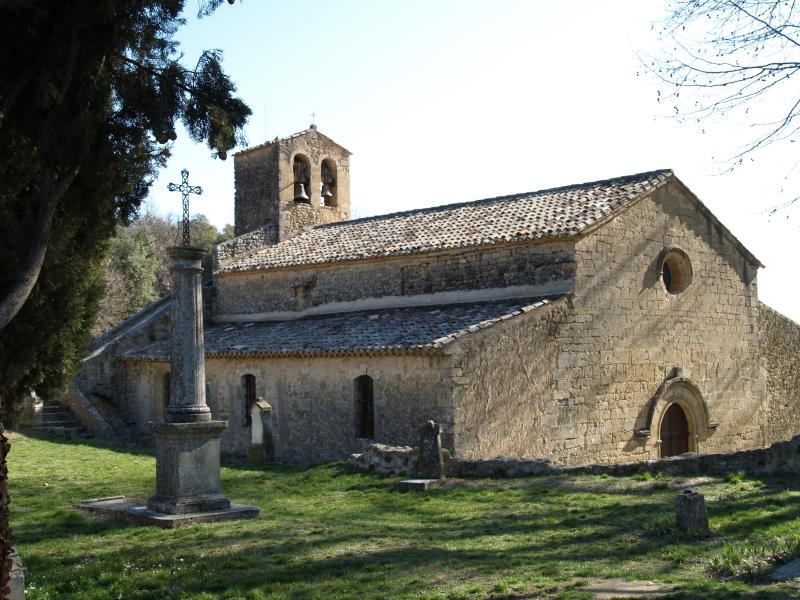 Vaugines