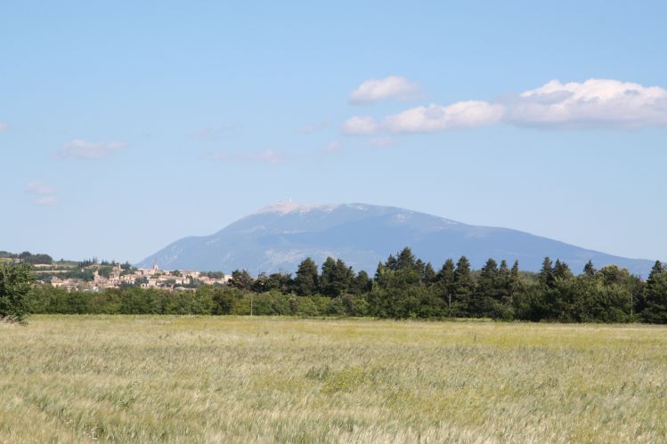 Visan
