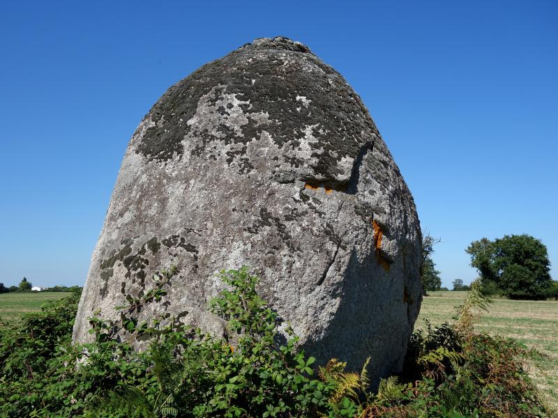 Avrillé